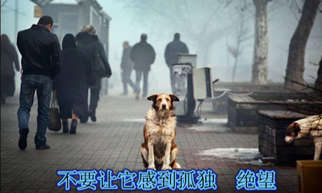 盐城爱影圈微博微信转发案例