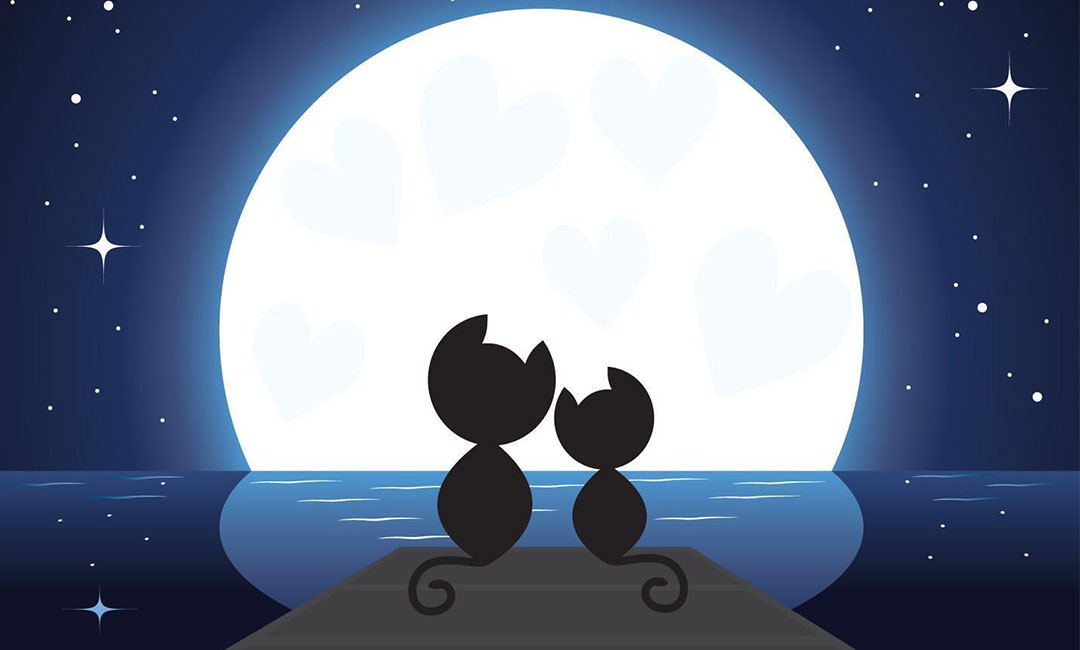 盐城潮客汇微信活动策划案例